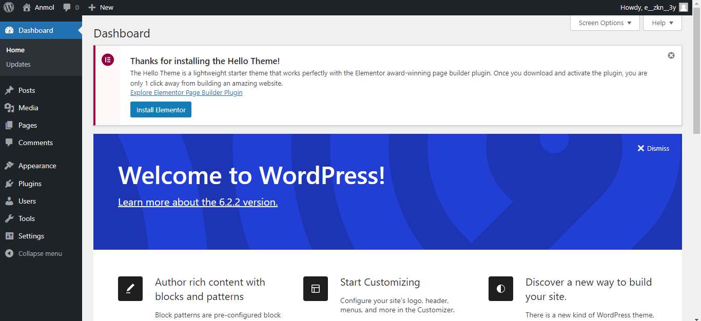 Microsoft Clarity on WordPress Installation