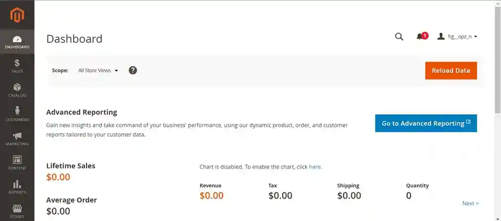 Magento Admin Dashboard