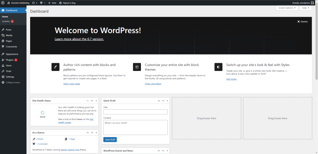 Wordpress 6.7