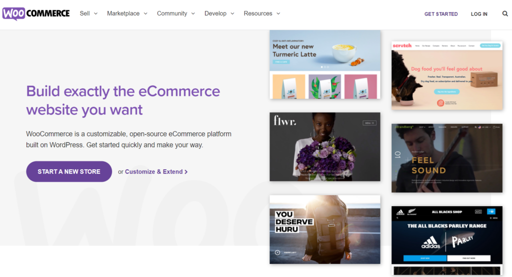 What is WooCommerce?