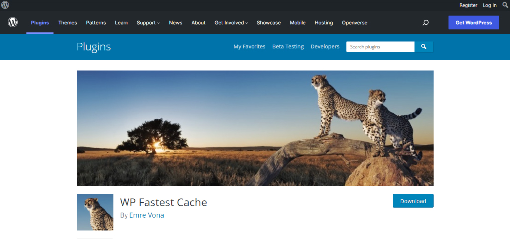 WP Fastest Cache Plugin
