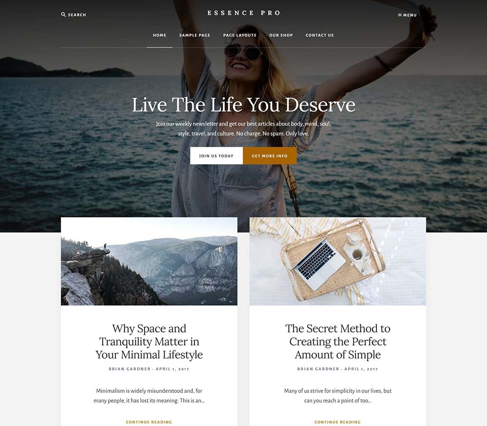 essence-pro wordpress themes